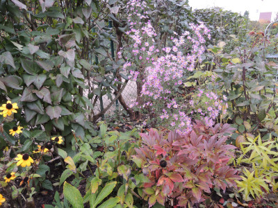 DSCN8375_965.JPG