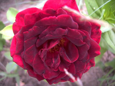 Epoca_06.JPG