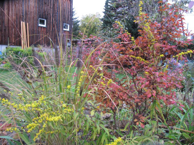 Herbst 151018.jpg