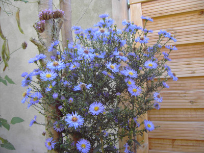PICT0772.JPG