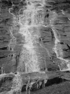 IMG_4148vals.jpg