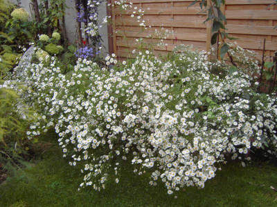 PICT0794.JPG