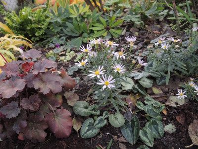 DSCN8412_969.JPG