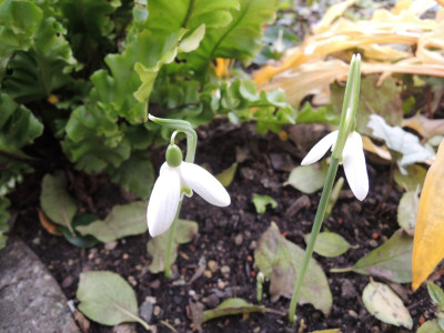 DSCN8431_977.JPG