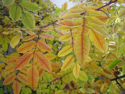 151023_38.JPG