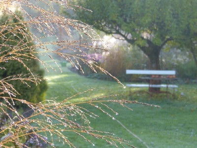 2015-10-24 Gartenimpressionen 6.jpg