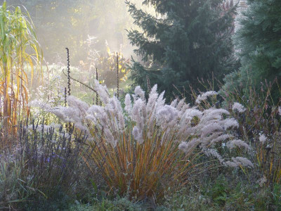 2015-10-24 Gartenimpressionen 7.jpg