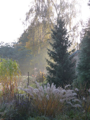 2015-10-24 Garteneinblick 2.jpg