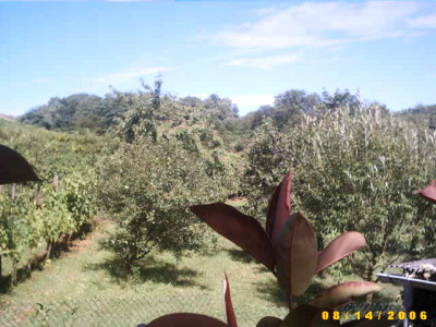2006_0814Bild0027.JPG