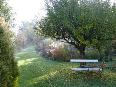 2015-10-24 Garteneinblick 3.jpg