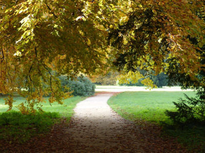 2015-10-24 Schlosspark Wiesenburg 1.jpg