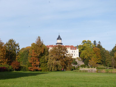 2015-10-24 Schlosspark Wiesenburg 3.jpg