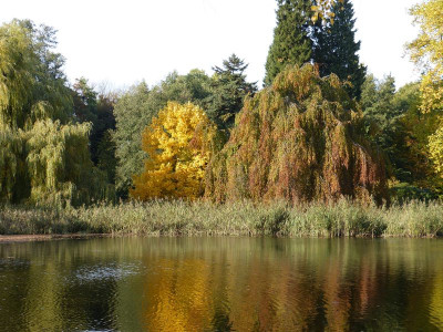 2015-10-24 Schlosspark Wiesenburg 5.jpg