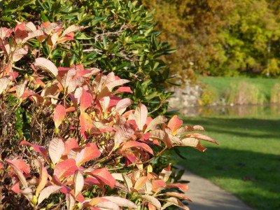 2015-10-24 Schlosspark Wiesenburg 6.jpg