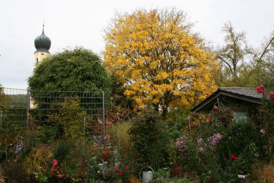 Oktober0415.JPG