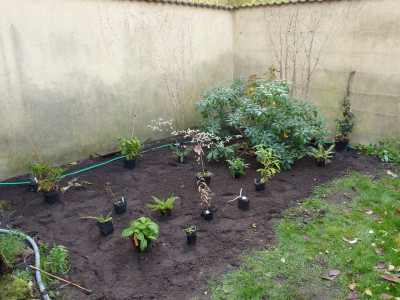2015-10-25 Brunnenbeet 2.jpg
