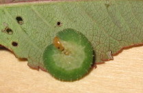 IMG_0113_klein.jpg