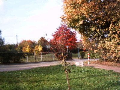 2004_0328Bild0157.JPG