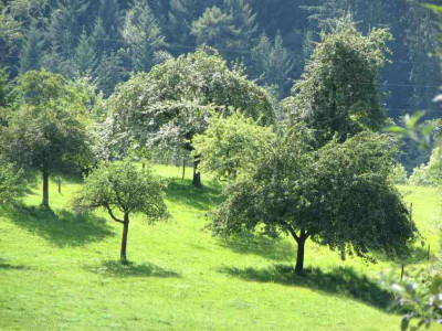 LICHT_DI_1508_I.jpg