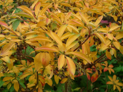 IMGP9896.JPG