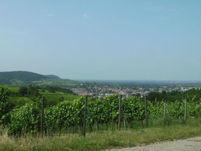 BILD0029-4.JPG