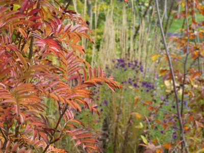 2015-10-18 Gartenimpressionen 5.jpg