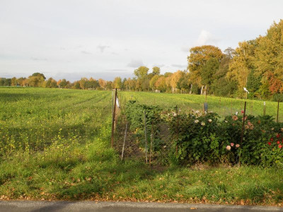 PA256006.JPG