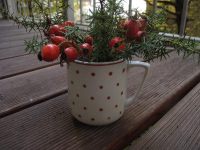 buttenwacholder1.img.JPG
