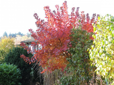 DSCN2599.JPG