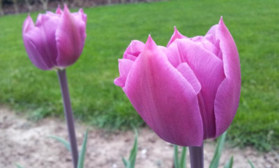 20140328_183438.jpg