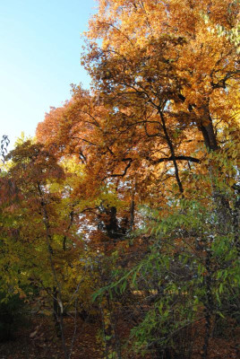 oktober 114.jpg