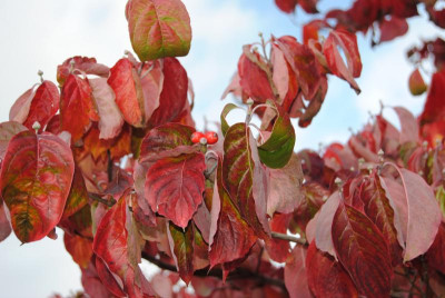 oktober 090.jpg