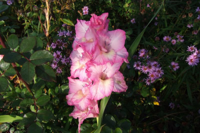 2015_1027EndeOktober0045.jpg