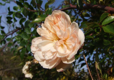 2015_1027EndeOktober0046.jpg