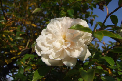2015_1027EndeOktober0049.jpg