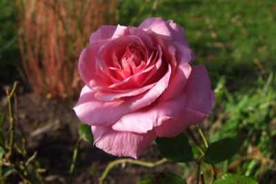 2015_1027EndeOktober0006.jpg