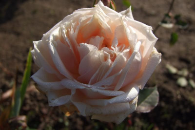 2015_1027EndeOktober0016.jpg