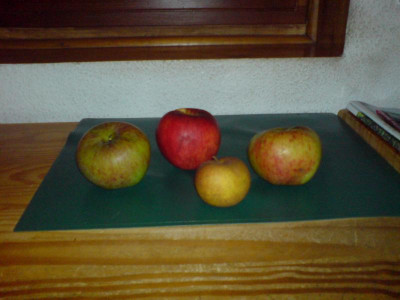 DSC00214.JPG