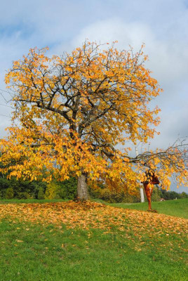 oktober 073.jpg