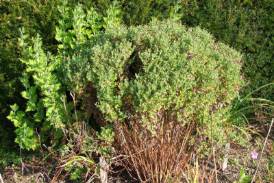 2015_1027EndeOktober0017.JPG