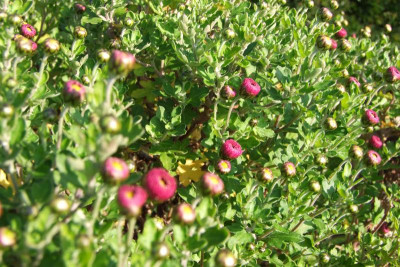 2015_1027EndeOktober0019.JPG