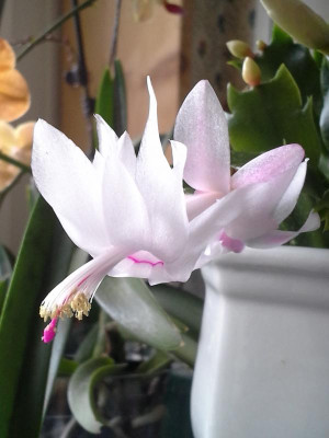 Bild 207.jpg