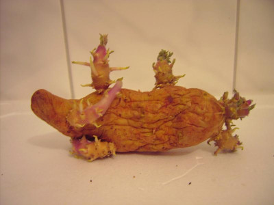 PICT0814.JPG