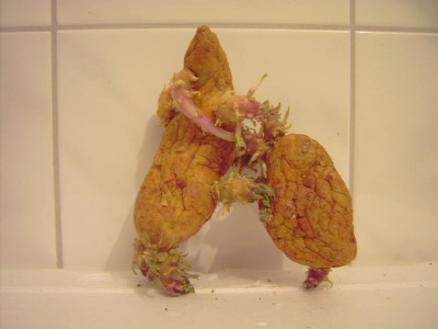 PICT0816.JPG