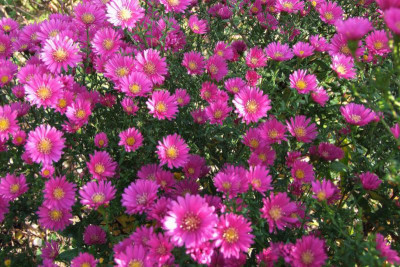 2015_1027EndeOktober0012.jpg