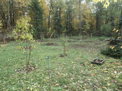 Obstbaeume_neu_28.10.2015.JPG