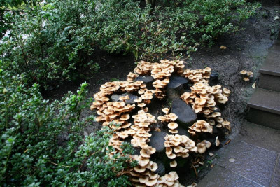 174.JPG