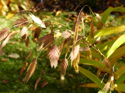 P1010250.JPG