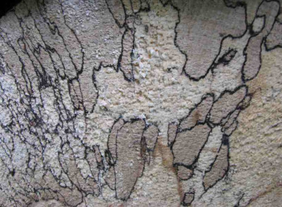 HOLZ_MI_1608_III.jpg