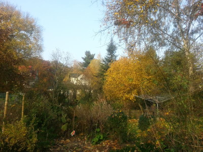 20151029_091359[1].jpg